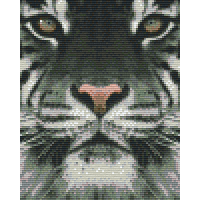 Tiger 34130
